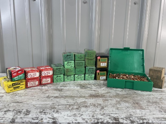 22 Caliber Bullets
