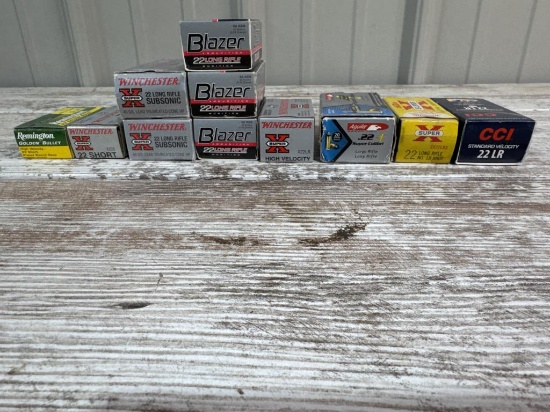 11- Boxes of  22Long and 22 Short