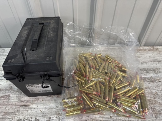 Hornady Black 450 Bushmaster 250 gr FTX