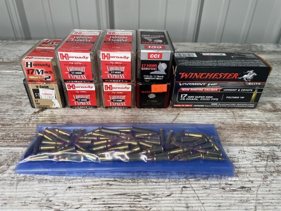 Miscellaneous 17 Caliber Long and Short