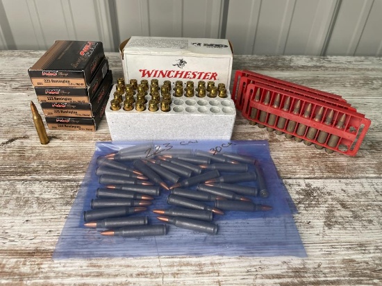 Miscellaneous 223 Caliber Cartridges