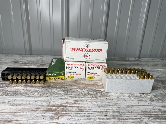 22-250 Rounds