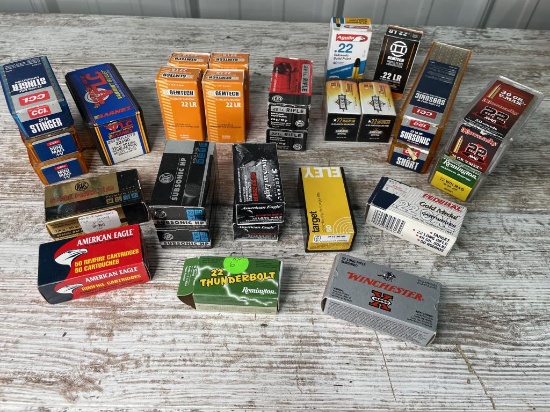 Lot of Miscellaneous 22 Cartridges