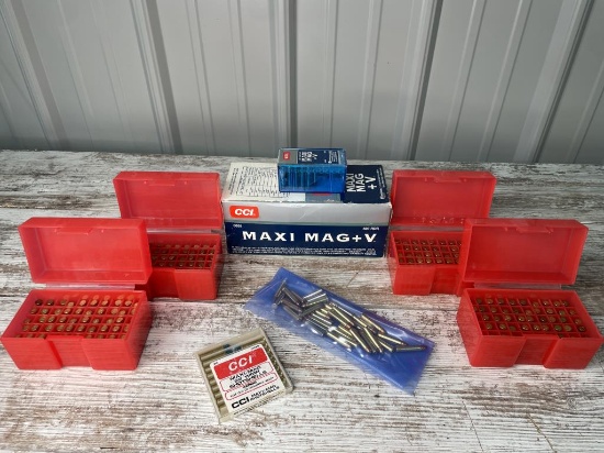 Maxi Mag 22 and Reloads