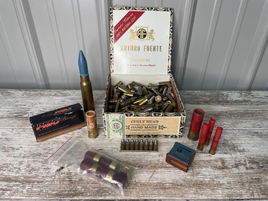 Lot of Miscellaneous Shells and Cartridges