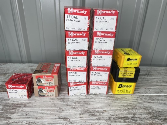 17 CAL Bullets