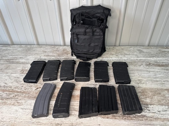 308/5.56 Magazines & Carry Case