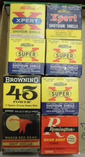 Lot of (8) Vintage 20 Ga Shot Gun Shells