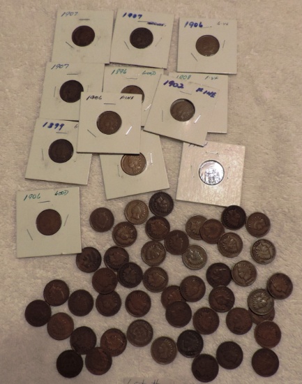 Lot of (59) Indian Head Pennies