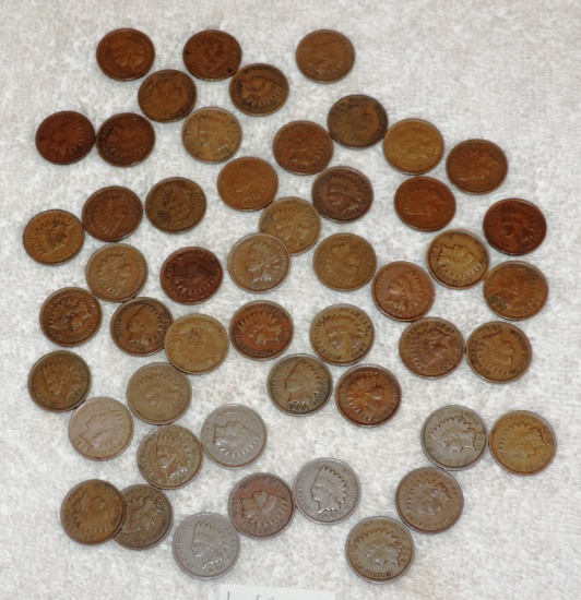 (50) Indian Head Pennies