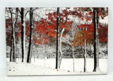 Canvas Fall-Winter Scene Print