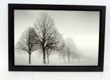 Modern Home Winter Trees Photograph In Frame