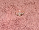 10 Karat Diamond Chip Ring