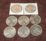 (8) Peace Silver Dollars