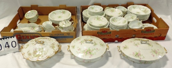 55+ Pieces Of Theodor Haviland Limoges France China