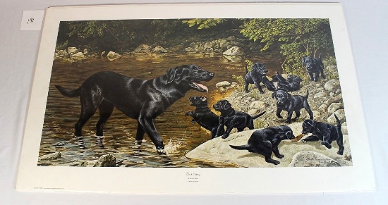 Norman Adams 1992 "First Outing"