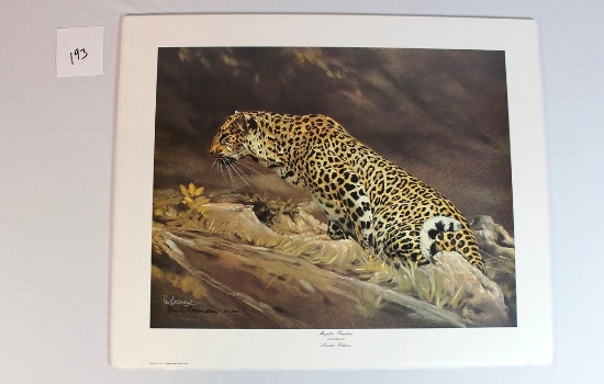 Paul Bosman 1982 "Majestic Predator"