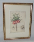 Framed Color Flower Print