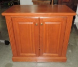 2 Door Media Cabinet