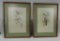 Pair Of Framed Hand Colored Gould & Richter Bird Prints