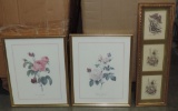 2 Framed Reproduction Redoute Rose Prints & 3 Lizards Butterflies In Frame
