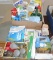 General Household Cleaner Lot