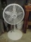 Lasko Floor Fan