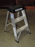Warner 2 Foot Aluminum Ladder