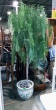 Artificial Palm Tree In Ceramic Oriental Fish Jar