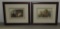 Pair Of Color Bird Prints In Walnut Frames