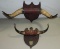 Lot Of 2 Antique Wall Hanging Cow Horn Plaques