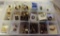 Lions Club 100% Attendance Pin Collection In Plastic Organizer