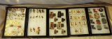 Lions Club Collector Pin Collection
