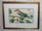 1800's Hand-Colored Chromo-Lithograph Bird Picture