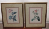 Pair of Rose Prints