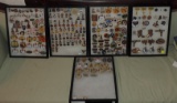 5 Showcases Of Lions Club Collector Pins