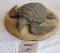 Hawaiian Turtle Sand Sculpture