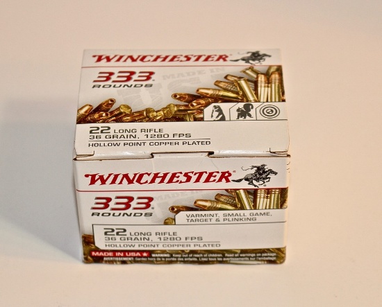 Winchester 22 LR 36-Grain
