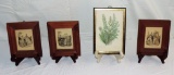 Lot of (4) Antique Framed Victorian Prints