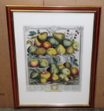 Framed 1732 Reproduction Color Print Of Fruit