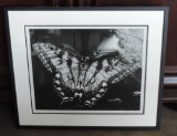 Signed Black & White Tipper Gore(Former Wife Of Vice-President Al Gore) Photograph