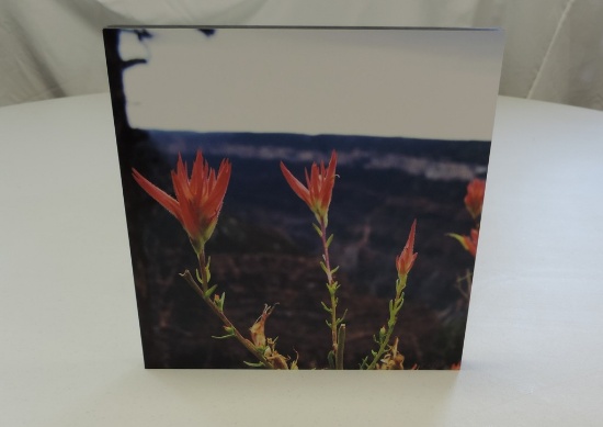 "Blooms on the Rim" Mounted Photo