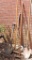 Lot Of Long Handle Garden Tools