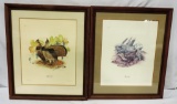 2 Vintage Framed Don Whitlatch Color Bird Prints From Sportsman Series