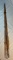 Grampus Kiraku Japan Split Bamboo Fishing Rod