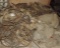 Large Lot of Military  Drop Ropes