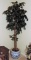 Ficus Tree In Oriental Planter
