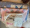 Vintage Sunbonnet Sue Quilt Squares