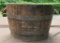 Barrel Planter Lot