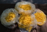 Large Lot of Yellow Plastic Chain